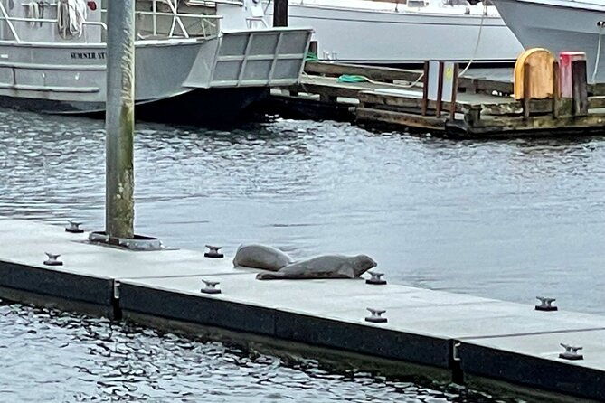 ketchikan-duck-tour