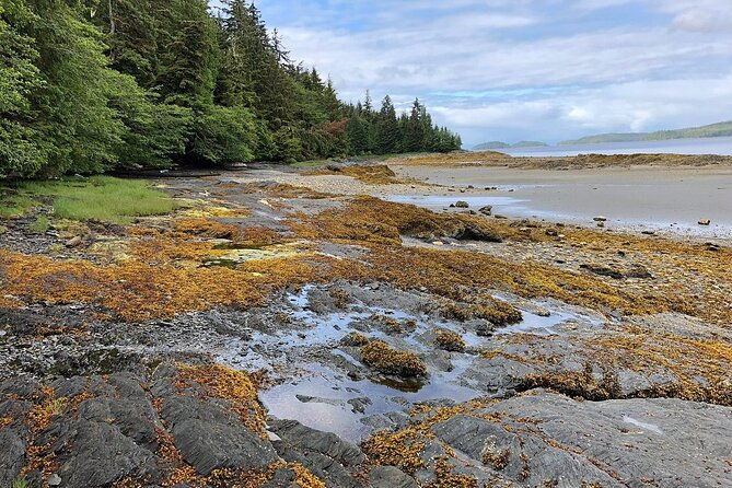 ketchikan-electric-bike-and-rain-forest-hike-ecotour