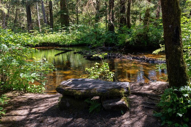 ketchikan-magical-old-growth-creek-trek-guided-tour