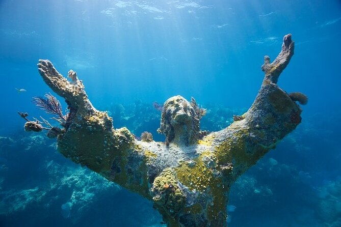 key-largo-two-reef-snorkel-tour-all-snorkel-equipment-included