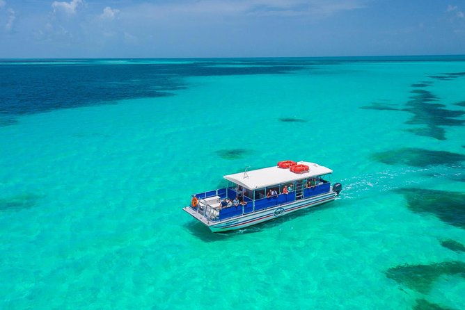 key-west-dolphin-watch-and-snorkel-tour-eco-adventure