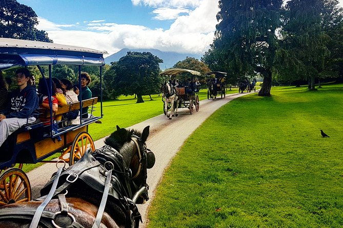 killarney-jaunting-car-lily-of-killarney-watercoach-tour