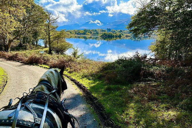 killarney-national-park-tour