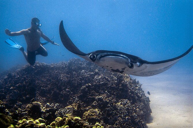 konas-magical-manta-ray-night-snorkel-small-group-eco-tour