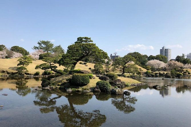 kumamoto-full-day-private-tour-with-government-licensed-guide