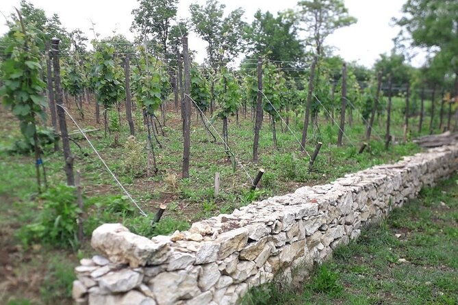 kutaisi-prometheus-cave-and-wine-tour