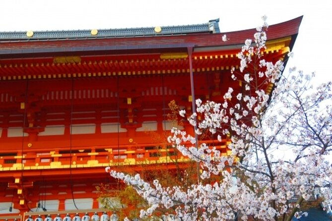 kyoto-cherry-blossom-with-miyako-odori-1-day-walking-tour