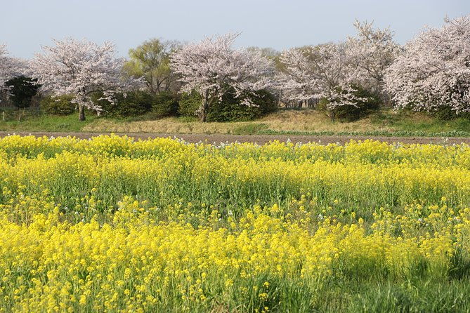 kyoto-country-side-scooter-tour