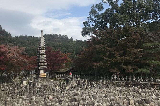 kyoto-descending-arashiyama-private