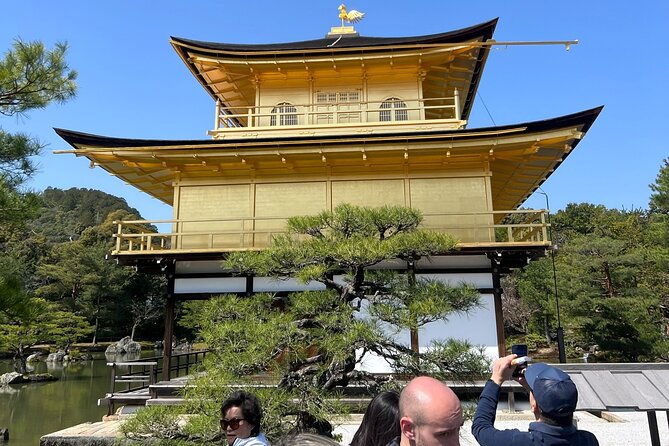 kyoto-golden-pavilion-nijo-castle-nishiki-market-english