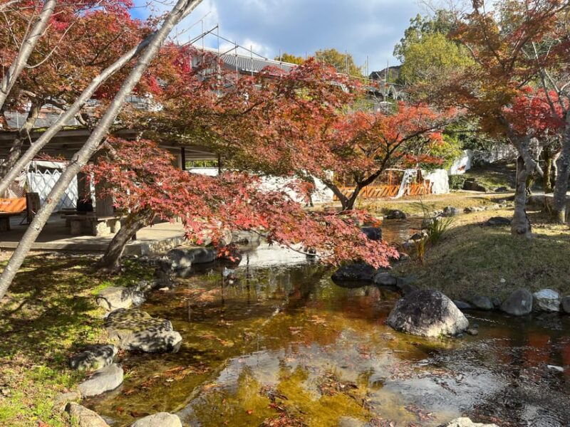 kyoto-half-day-private-guided-tour-to-the-old-town-of-gion