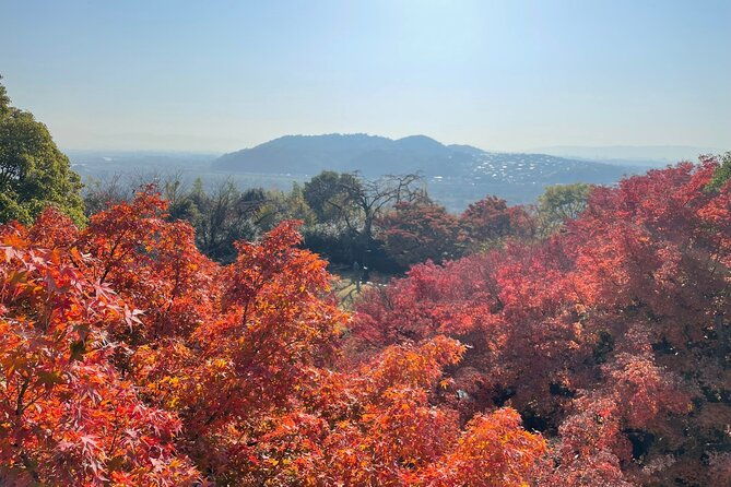 kyoto-half-day-yamazaki-whisky-museum-and-asahi-art-museum