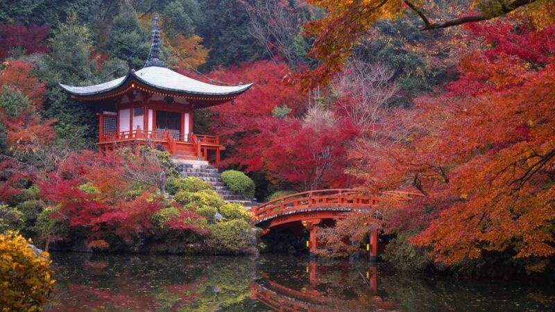 kyoto-japanese-gardens-private-customizable-tour