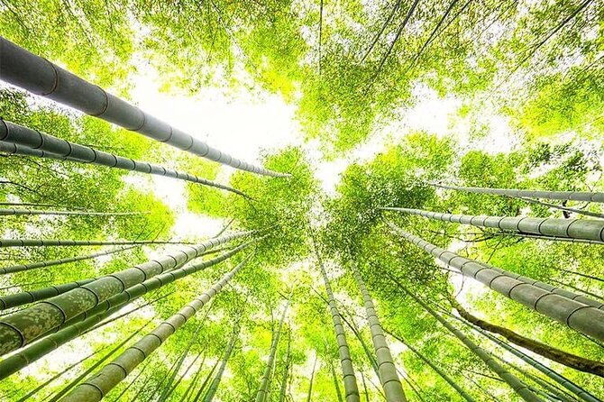 kyoto-osaka-nara-private-tour-by-car-english-driver-guide