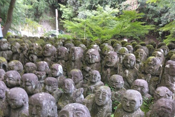 kyoto-sakura-hidden-gems-of-timeless-tradition
