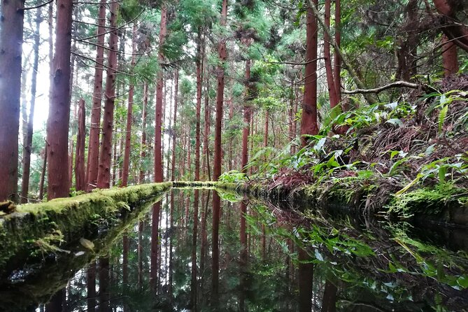 lagoa-do-fogo-walking-tour-with-lunch-from-ponta-delgada