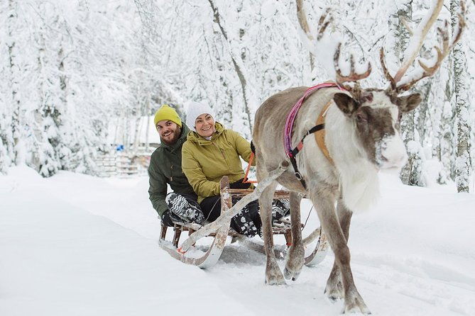 lapland-reindeer-and-husky-safari-from-rovaniemi