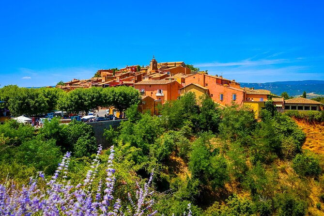 lavender-route-small-group-day-trip-from-avignon