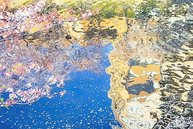 licensed-guide-tokyo-meguro-cherry-blossom-walking-tour-2