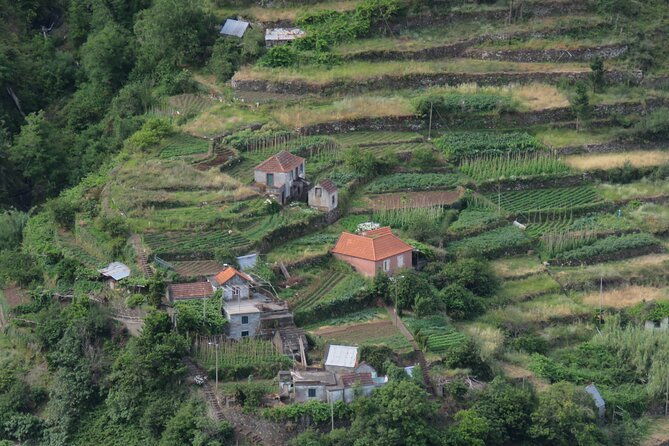 local-farmers-market-and-4wd-experience-from-funchal