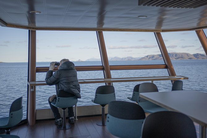 lofoten-island-silent-trollfjord-cruise-from-svolvaer