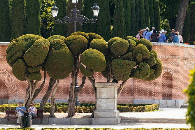 madrid-prado-museum-city-private-tour-with-ticket-included