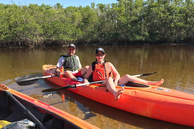 manatees-and-mangrove-tunnels-small-group-kayak-tour