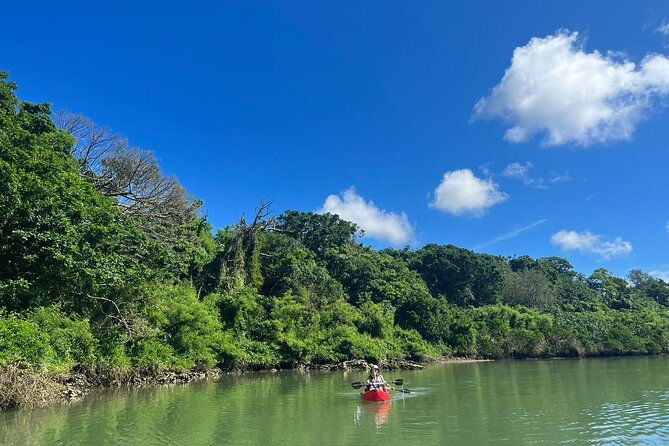 mangrove-kayak-%ef%bc%86-sea-fishing-experience-in-okinawa