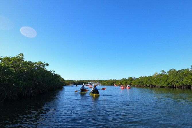 mangrove-tunnel-kayak-adventure-in-key-largo