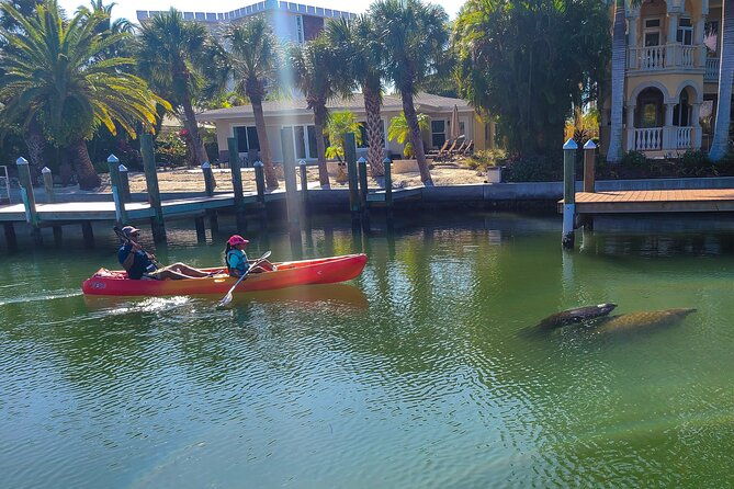 mangroves-manatees-and-a-hidden-beach-kayak-tour
