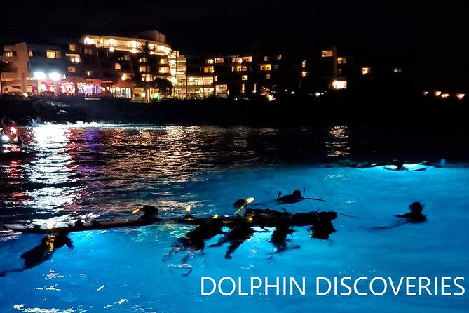 manta-ray-night-snorkel-at-kona-big-island