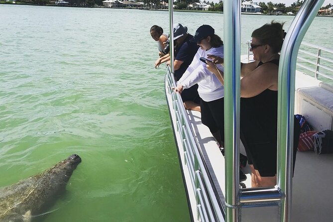 marco-island-dolphin-sightseeing-tour