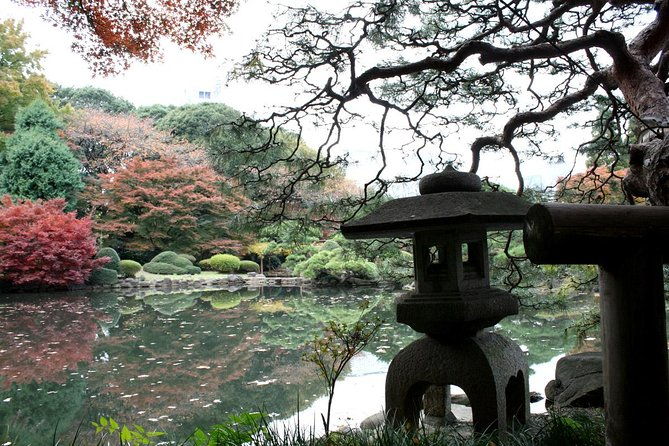 meiji-jingu-shrine-half-day-tour-by-public-transportation