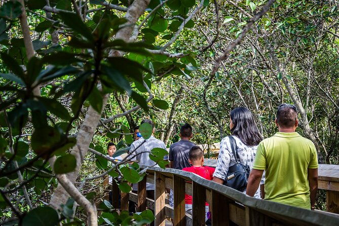 miami-everglades-airboat-gator-wildlife-show-with-roundtrip-bus