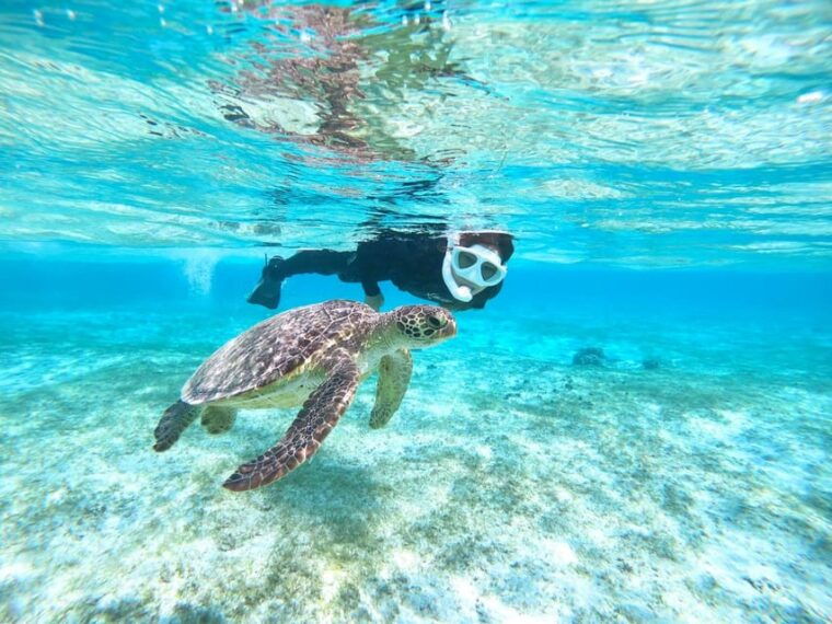 miyako-island-3-sets-snorkeling-limestone-caving-beach-sup