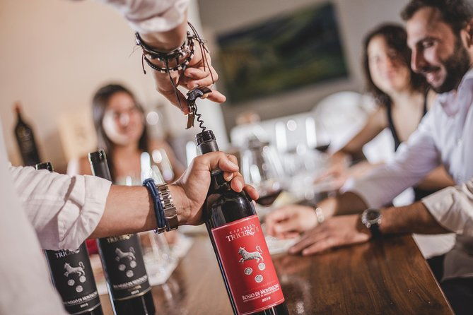 montalcino-castle-and-vineyards-tour-with-tasting
