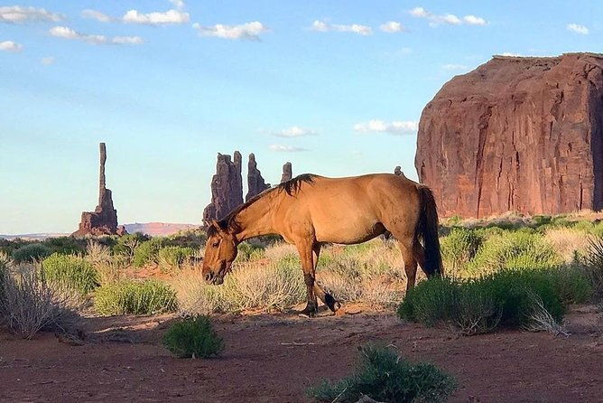 monument-valley-daytime-tour-3-hours-navajo-spirit-tours
