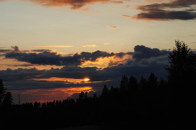 moose-safari-in-the-wild-sweden-tiveden