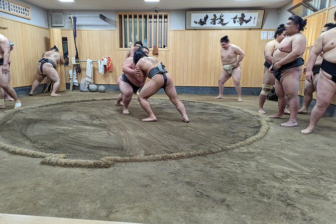 morning-sumo-practice-viewing-in-tokyo