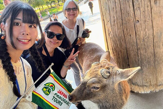 morning-wonder-world-heritage-nara-guided-tour