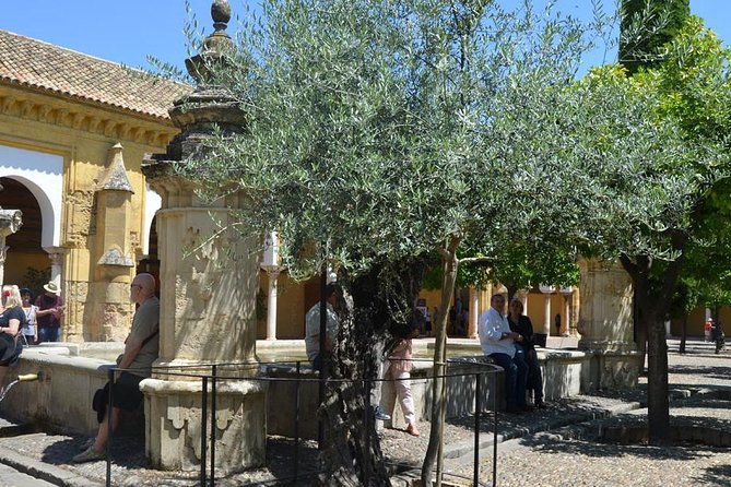 mosque-of-cordoba-history-tour-in-english-tickets-included