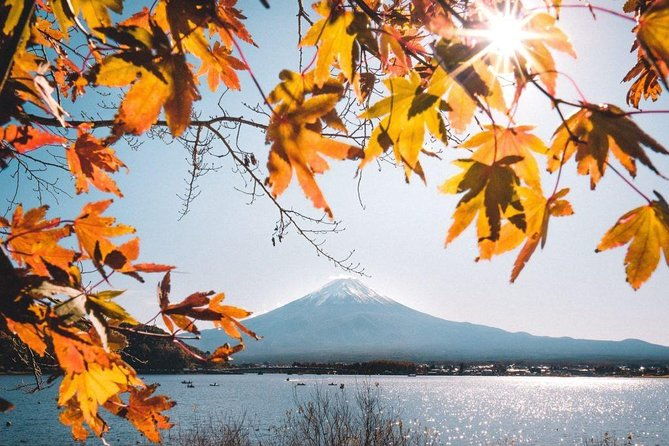 mount-fuji-classic-day-tour-join-tour