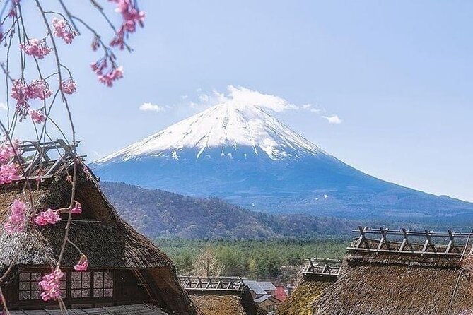 mount-fuji-customizable-one-day-private-guided-tour-from-tokyo-2