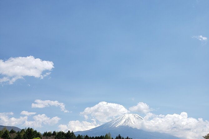mount-fuji-customizable-one-day-private-guided-tour-from-tokyo