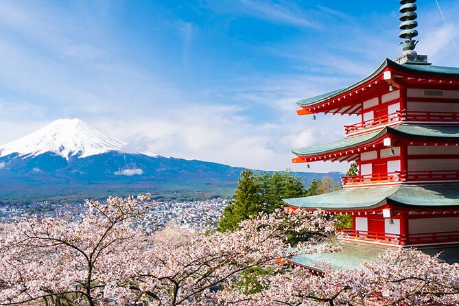 mount-fuji-full-day-sightseeing-tour-from-tokyo-2