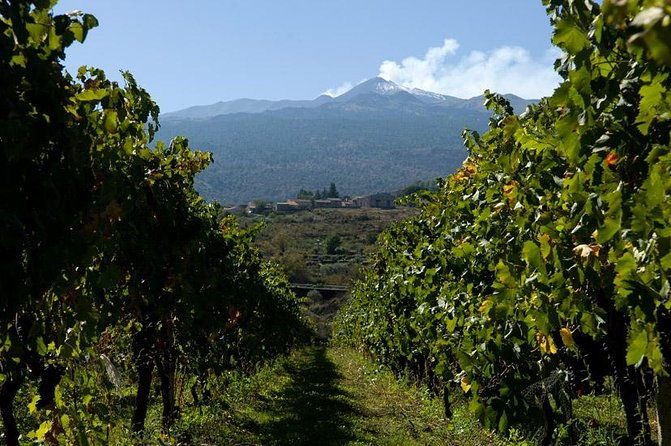 mt-etna-and-wine-tasting-tour-from-catania