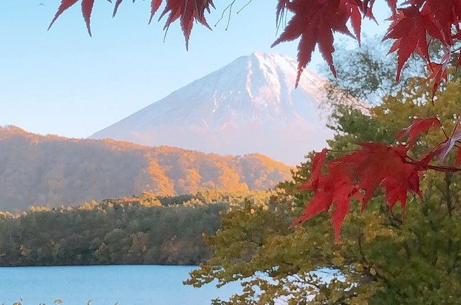 mt-fuji-and-gotemba-outlet-tour-from-tokyo