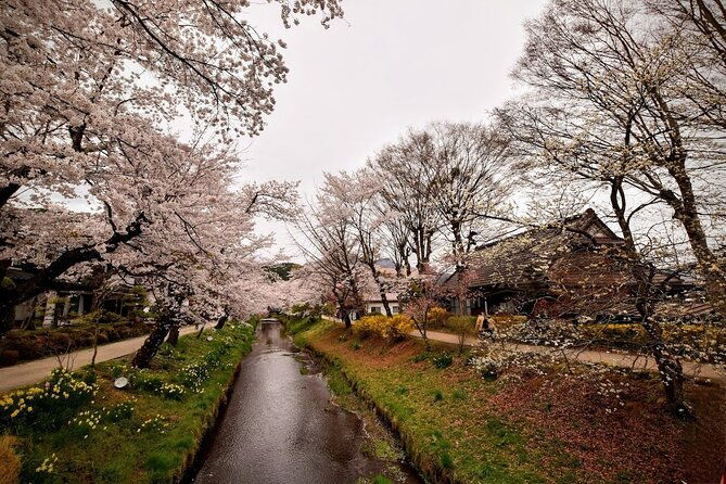 mt-fuji-day-trip-from-tokyo-by-car-with-photographer-guide