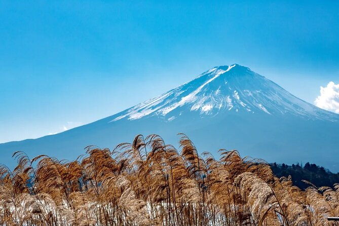mt-fuji-gotemba-outlet-and-hot-springs-tour-from-tokyo