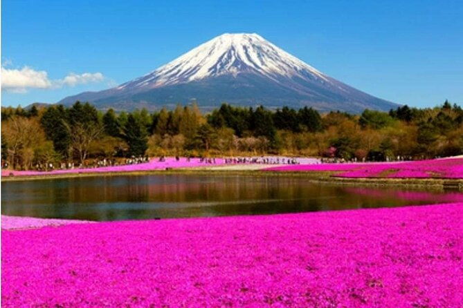 mt-fuji-hakone-private-tour-by-car-with-pickup